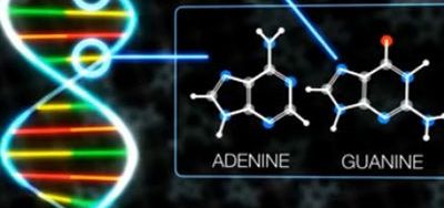 
	O noua descoperire NASA: Unele componente ale ADN-ului provin din meteoriti
