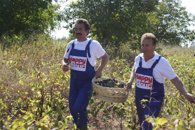 
	Catalin Maruta a fost la culesul viei: lanseaza vinul &ldquo;Happy Hour&rdquo;
