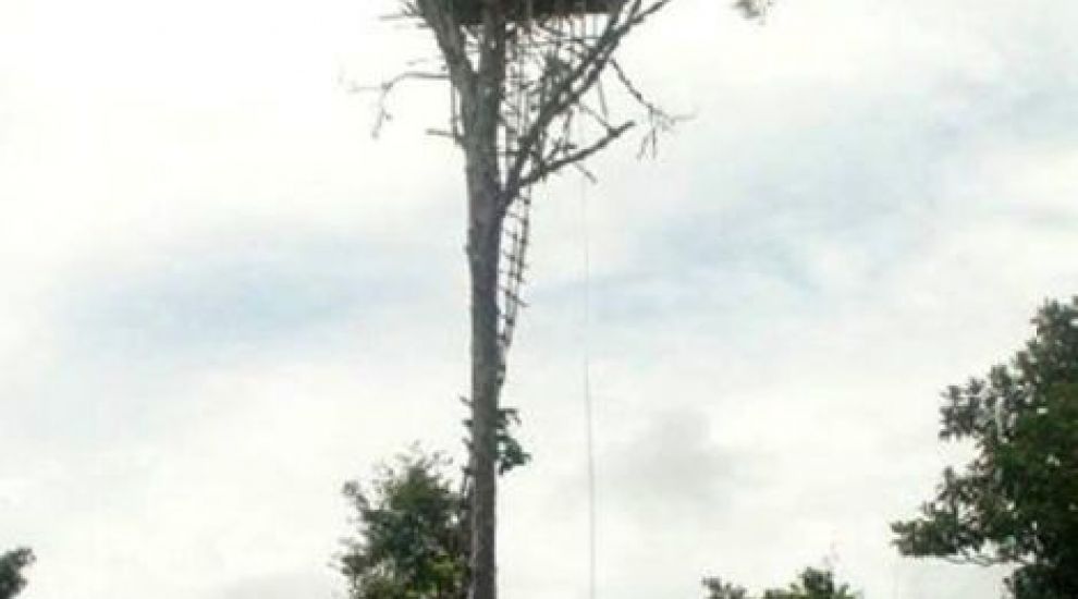 
	Tu ai avea curaj sa locuiesti intr-o astfel de casa? &nbsp;
