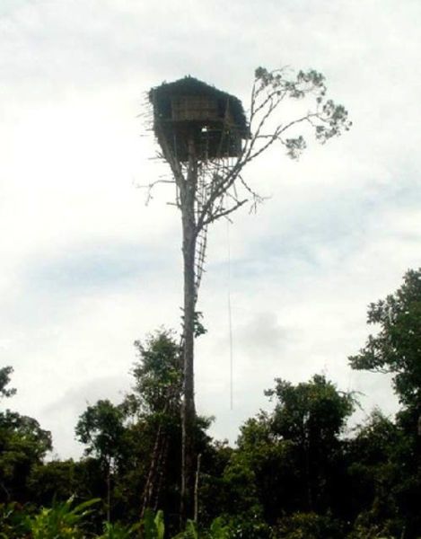 
	Tu ai avea curaj sa locuiesti intr-o astfel de casa? &nbsp;
