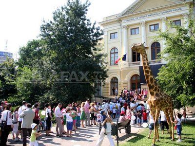 
	Muzeul Antipa, vizitat in prima luna de la redeschidere cat intr-un an
