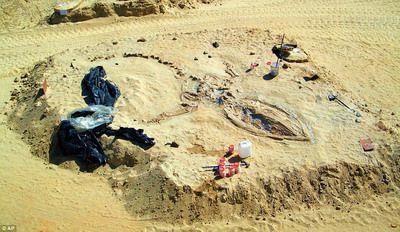 
	Balene in desert! Care este explicatia uneia dintre cele mai mari descoperiri! FOTO
