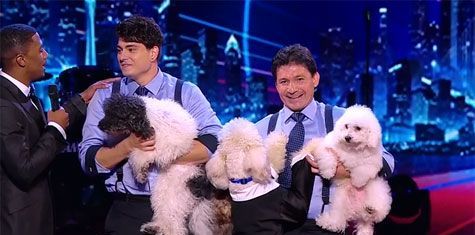 
	SURPRIZA: Un numar de dresura canina a castigat <span style="color:#f00;">Marele Premiu de la &quot;America&#39;s Got Talent&quot;.</span> VIDEO
