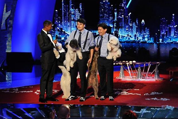 
	Cei mai talentati: Olate Dogs din America, Pudsey din Marea Britanie, Blue, Ozzy si Jay din Romania, preferatii publicului in show-urile &quot;Got Talent&quot;
