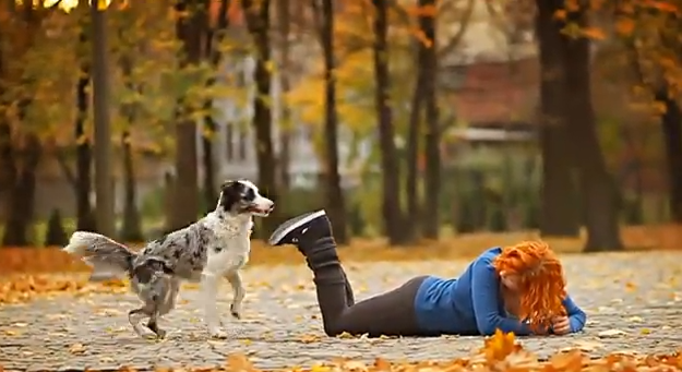 
	Si-a invatat cainele Border Collie peste 50 de trucuri uimitoare. Clipul care a impresionat sute de mii de oameni
