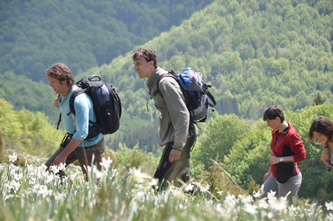 
	ProTV prezinta filmul documentar &quot;Salbaticia Carpatilor&quot;. Sambata, 4 mai, de la 10:30
