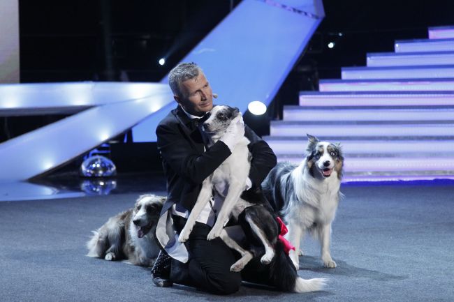 
	Bruno Icobet si cainii sai, un moment aproape magic la &quot;Romanii au talent&quot;. Dresorul nu a rostit niciun cuvant, de la inceput pana la sfarsit: VIDEO
