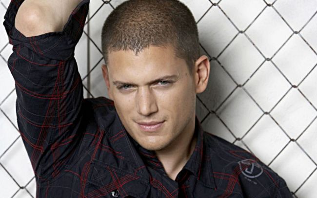 
	Wentworth Miller, starul din &quot;Prison Break&quot;, a recunoscut intr-o scrisoare oficiala ca este homosexual
