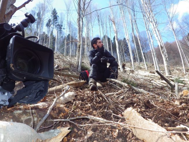 
	Marea defrisare. Trei hectare de padure s-au taiat ilegal in fiecare ora in Romania. Politicienii, politistii si silvicultorii au inchis ochii
