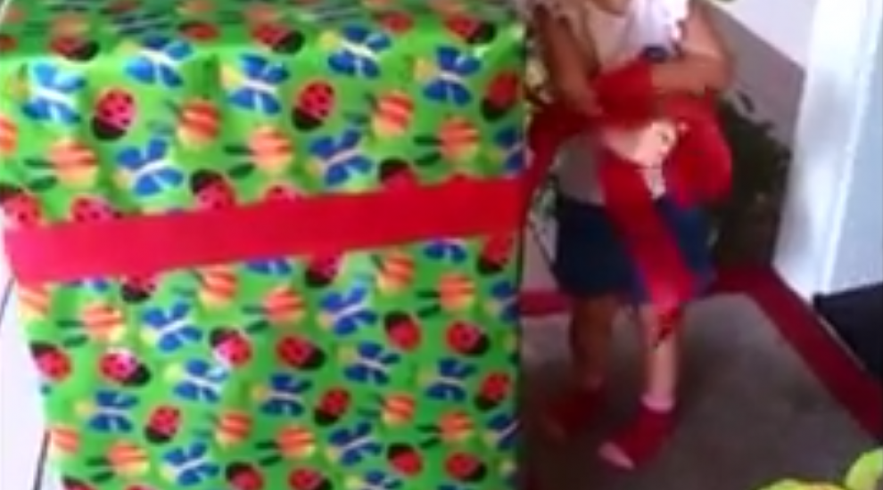 
	O fetita de trei ani a avut parte de cea mai frumoasa surpriza de ziua ei de nastere. Ce cadou se afla in cutie: VIDEO
