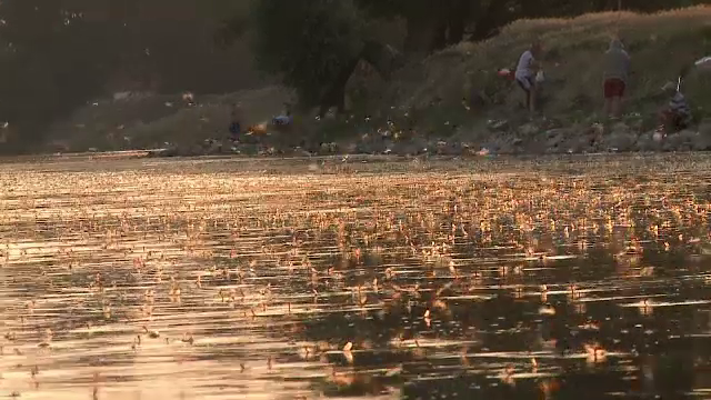 
	Oamenii se strang cu zecile sa urmareasca acest fenomen magic. Ce se petrece in acest loc din Romania e unic
