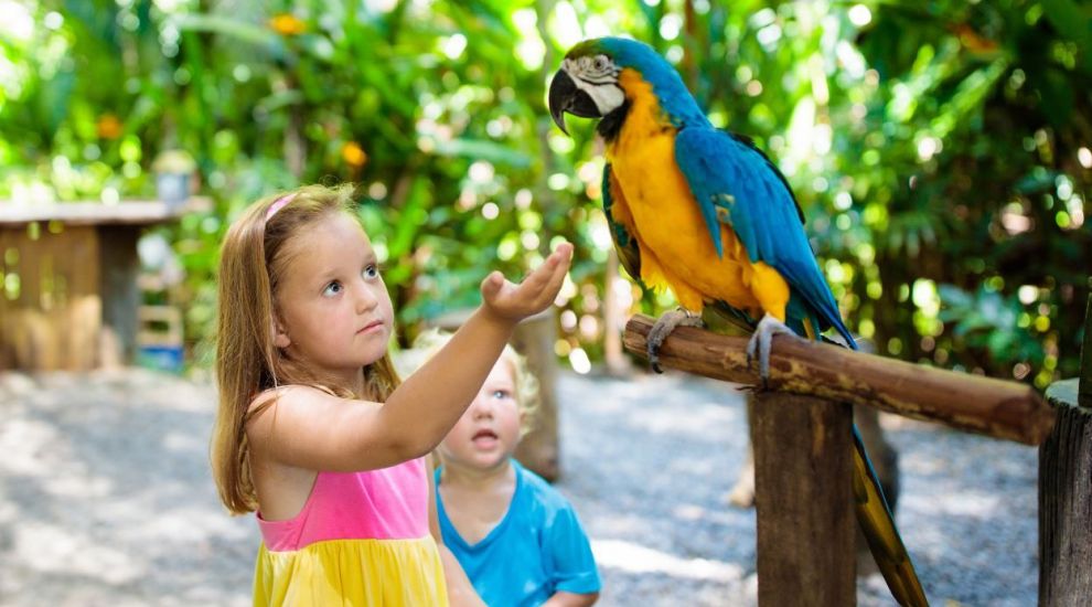 
	Papagalii de la grădina zoologică, mutați după ce au început să înjure vizitatorii
