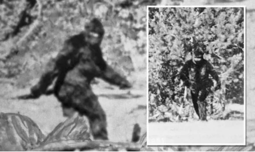 
	Misteriosul video cu Bigfoot, din 1967, scanat cu metode revoluționare. Concluziile sunt surprinzătoare
