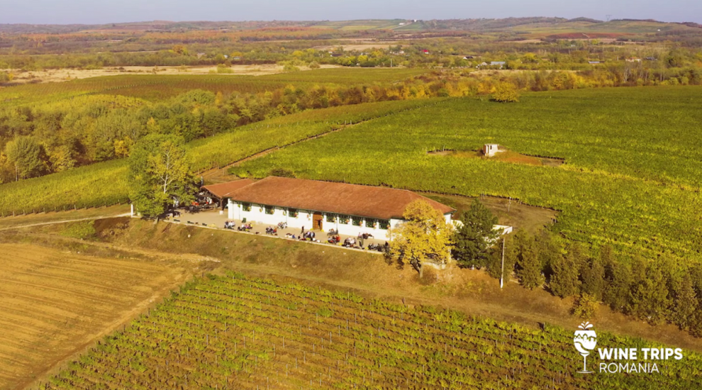 
	Wine Trips România | Acasă la Vinarte, locul nașterii vinului românesc modern
