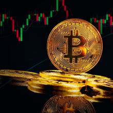 criptomoneda cu cel mai mare potențial 2021 Monitorizarea investițiilor Bitcoin