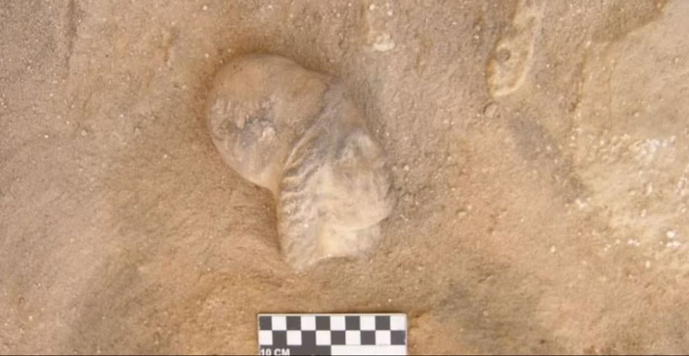 PRO TV – Ανακαλύφθηκε ο τάφος της Κλεοπάτρας;  Πού θα μπορούσε να είναι ο αιώνιος τόπος του τελευταίου φαραώ της Αιγύπτου